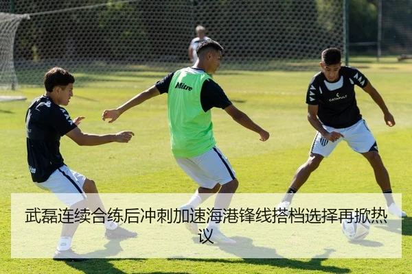武磊连续合练后冲刺加速海港锋线搭档选择再掀热议